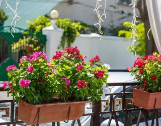 Санаторий "Маяк" Анапа