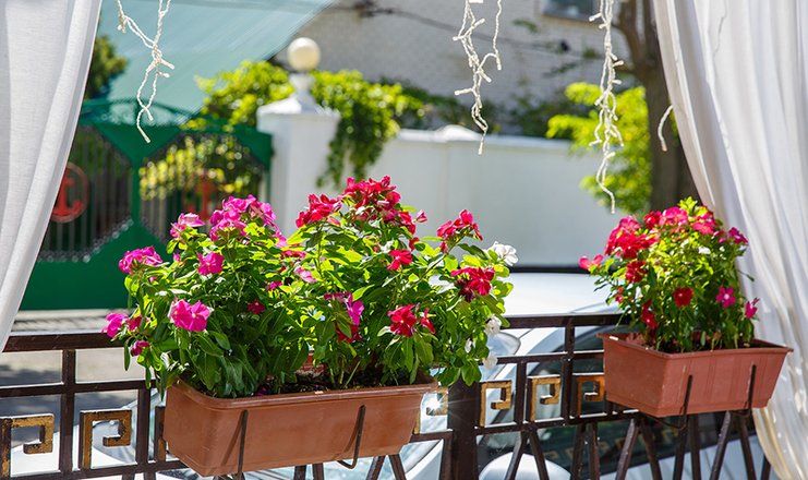 Санаторий "Маяк" Анапа